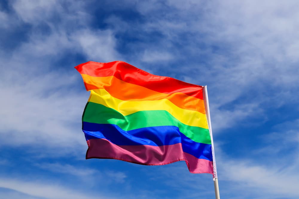 LGBTQ+ - Global Alliance for Behavioral Health and Social Justice